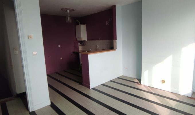 Séjour dans appartement duplex dans immeuble de rapport à Lille Lomme vendu par agence immobilière Facilimmo59 à Genech